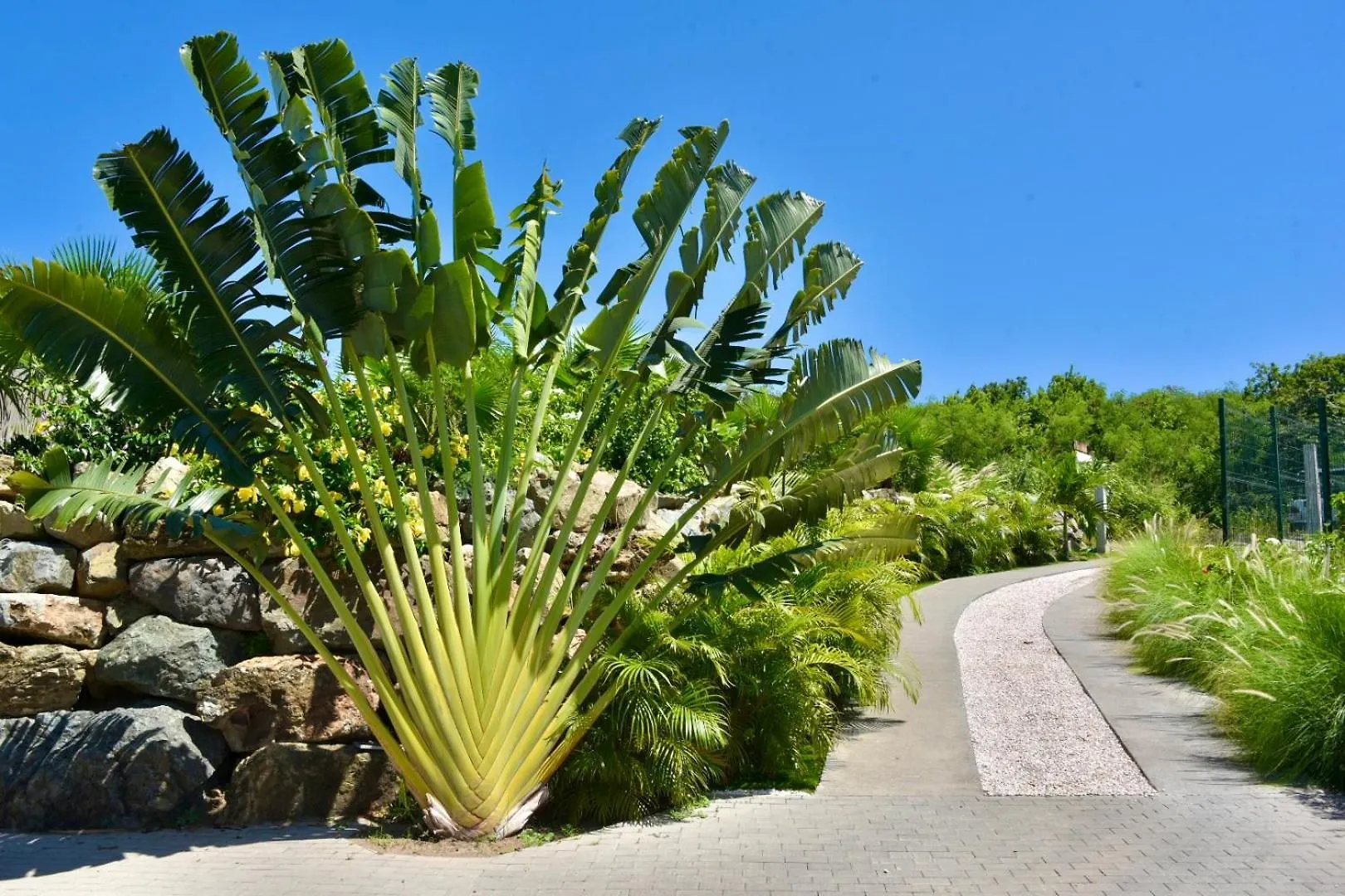 Orient Bay - Amazing Sea View - House 3Bd And 4Bd - Apartment 1 Bd Sea View - 1 Studio View Mountain Quarter of Orleans